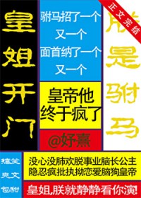 皇姐开门,朕是驸马
